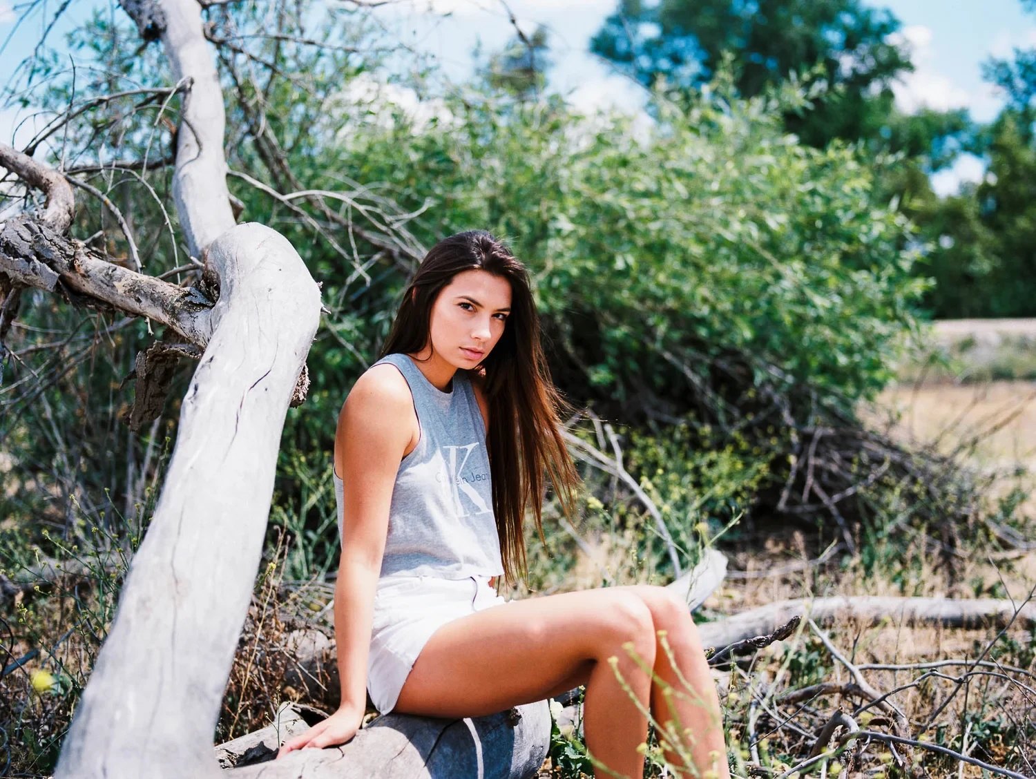 Woman in white sitting on a fallen tree in sunlit woodland.