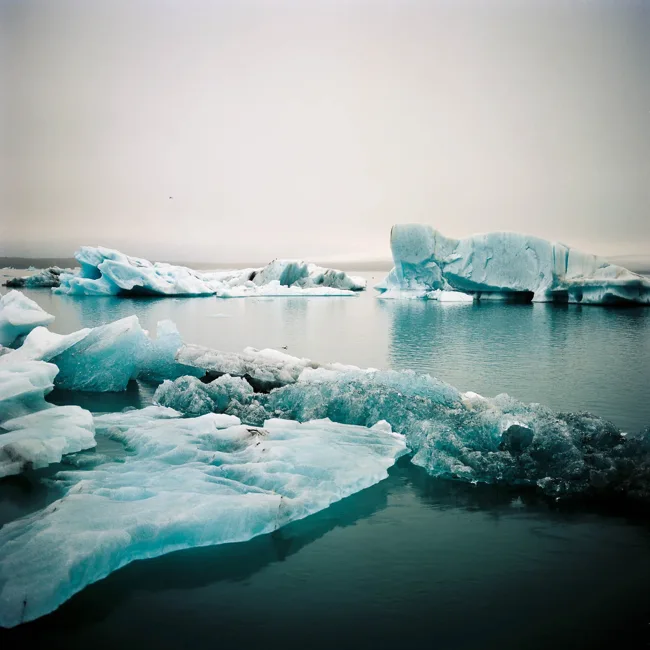 Blue-white icebergs floating on a still glacial lagoon.
