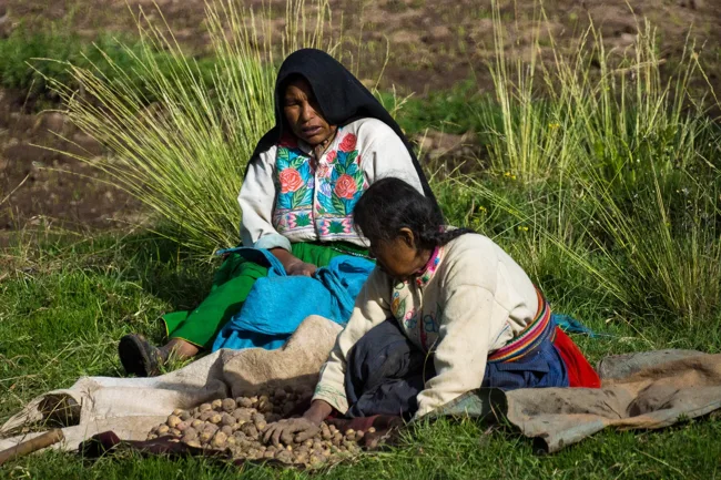 Two people seated on the ground beside tall grass in Peru.