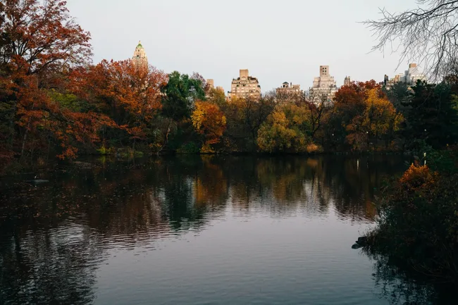 Autumn trees reflected in a still city park pond.