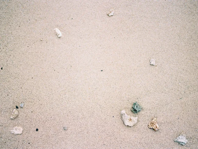 Small shells and stones scattered over pale sand.