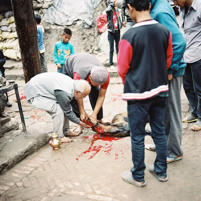 People gathered around work taking place on a stone-paved street.