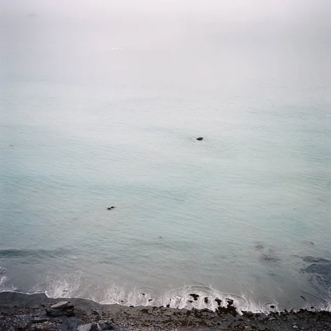 Gray ocean and rocky shore beneath a soft, overcast sky.